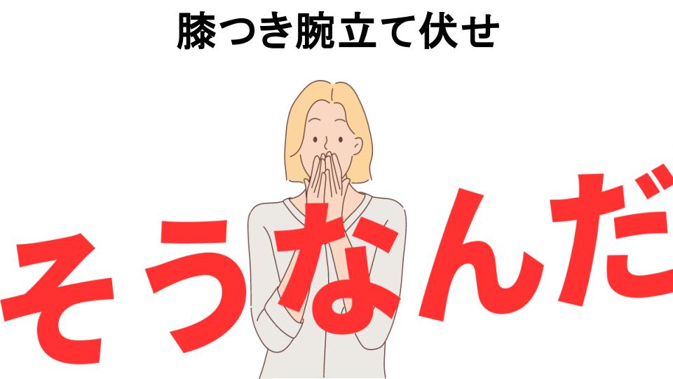 意味ないと思う人におすすめ！膝つき腕立て伏せの代わり